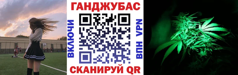 hydra ссылки  Балашиха  Каннабис сатива 